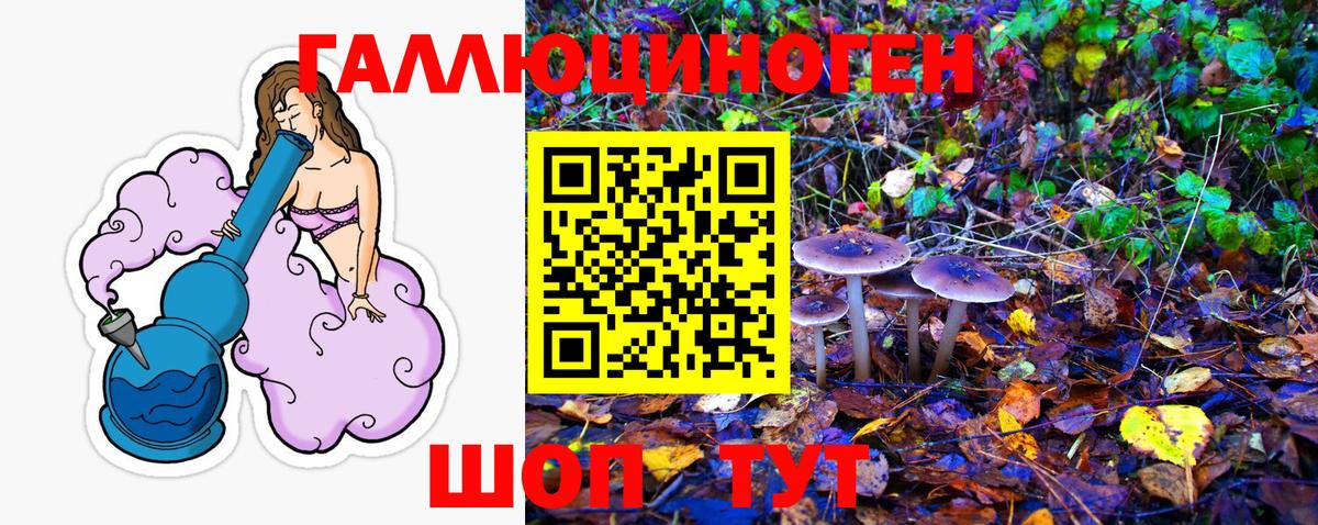 как найти наркотики  Галлюциногенные грибы MAGIC MUSHROOMS  Вход с VPN  Семёнов  Галлюциногенные грибы мицелий 