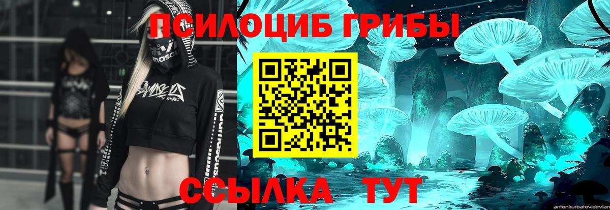Псилоцибиновые грибы прущие грибы Семёнов
